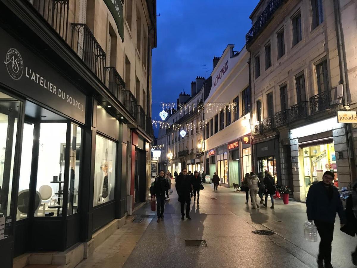 Appartement Calme En Hypercentre Dijon Eksteriør billede